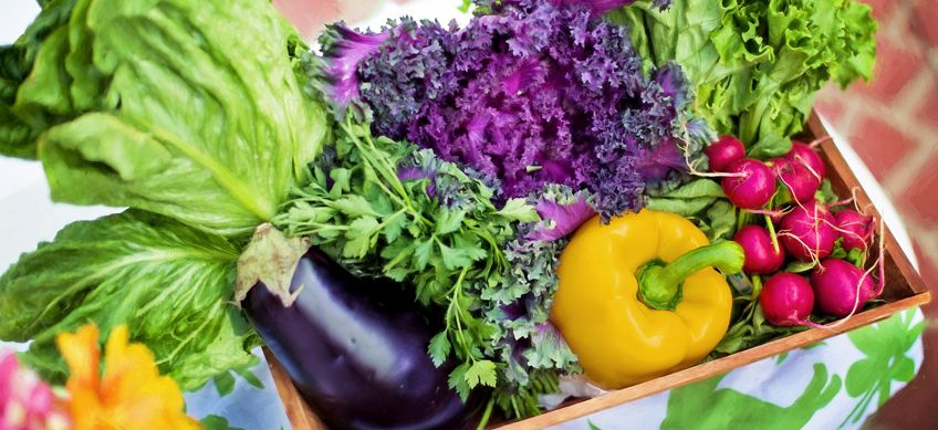 Apps that Teach Kids About Nutrition